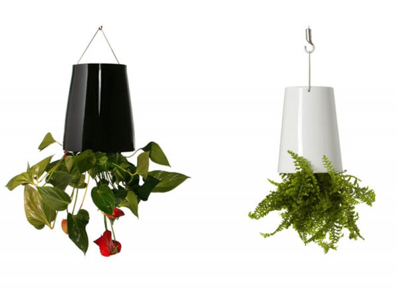 ทางเลือกใหม่ของการจัดสวน กับกระถางต้นไม้ลอยฟ้า