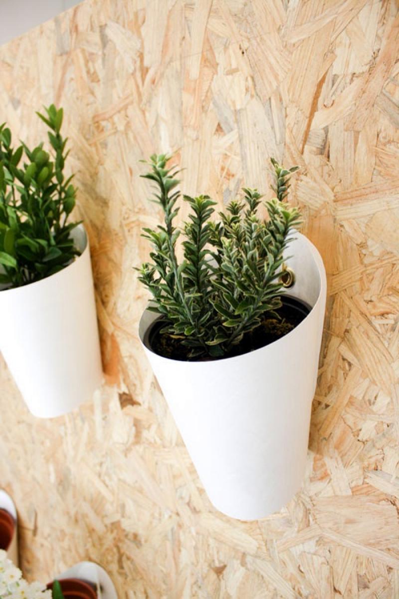 ไอเดียกระถางติดผนัง ช่วยประหยัดพื้นที่ของบ้าน