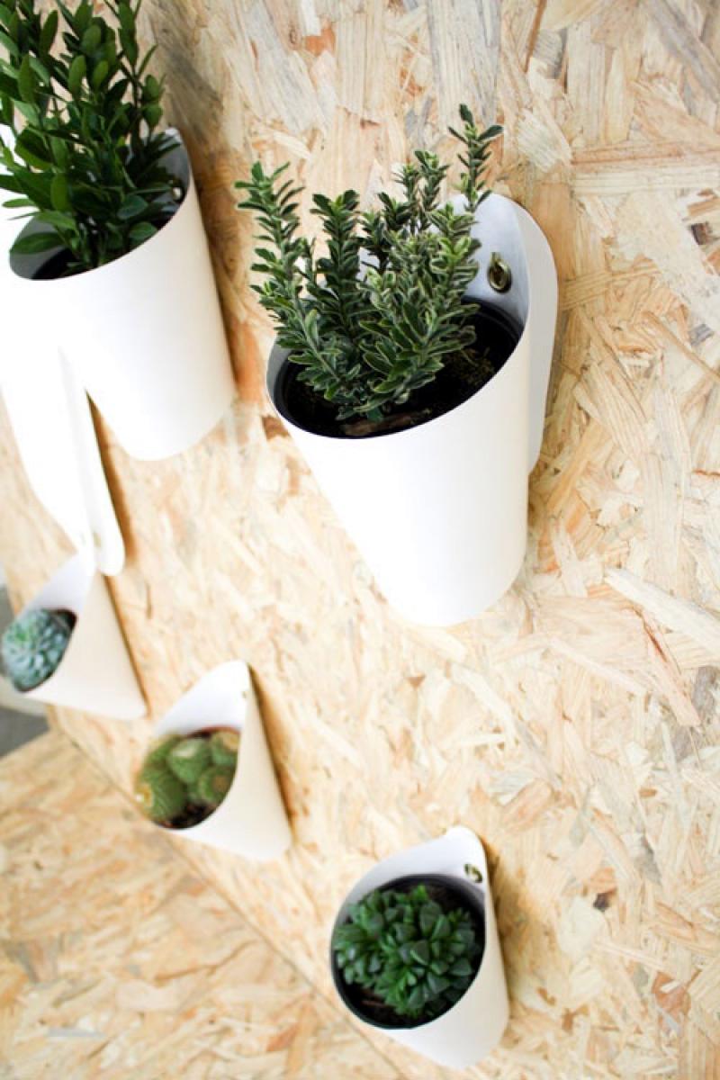 ไอเดียกระถางติดผนัง ช่วยประหยัดพื้นที่ของบ้าน