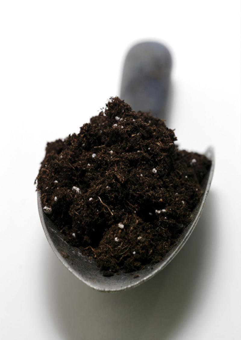 ปุ๋ยออร์แกนิก 5 ชนิด บำรุงดิน