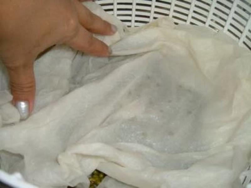 ปลูกถั่วงอกกินเองง่ายๆ