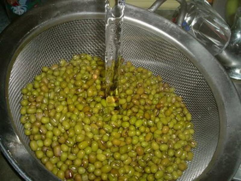 ปลูกถั่วงอกกินเองง่ายๆ