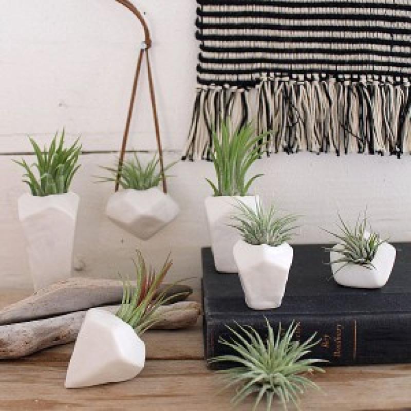 จัดสวนเล็กๆมีสไตล์ ด้วยแจกันแบบต่างๆ