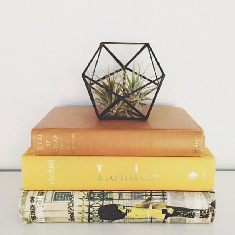 จัดสวนเล็กๆมีสไตล์ ด้วยแจกันแบบต่างๆ