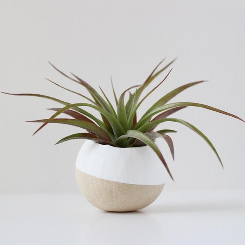 จัดสวนเล็กๆมีสไตล์ ด้วยแจกันแบบต่างๆ