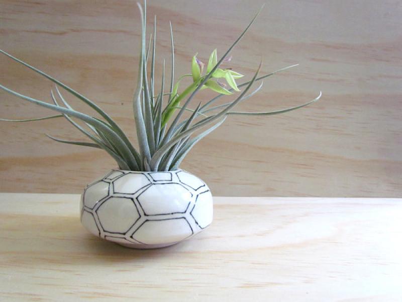 จัดสวนเล็กๆมีสไตล์ ด้วยแจกันแบบต่างๆ