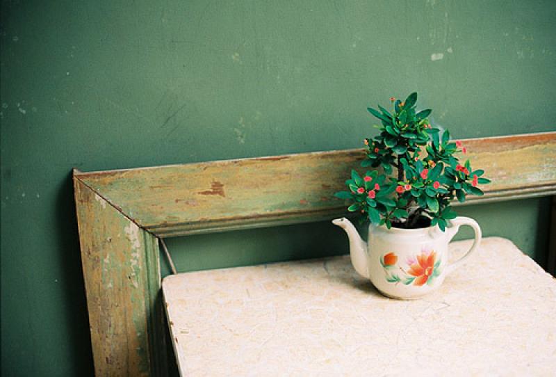 สวนกระถางเล็กๆ เพิ่มชีวิตชีวาให้บ้านเรา