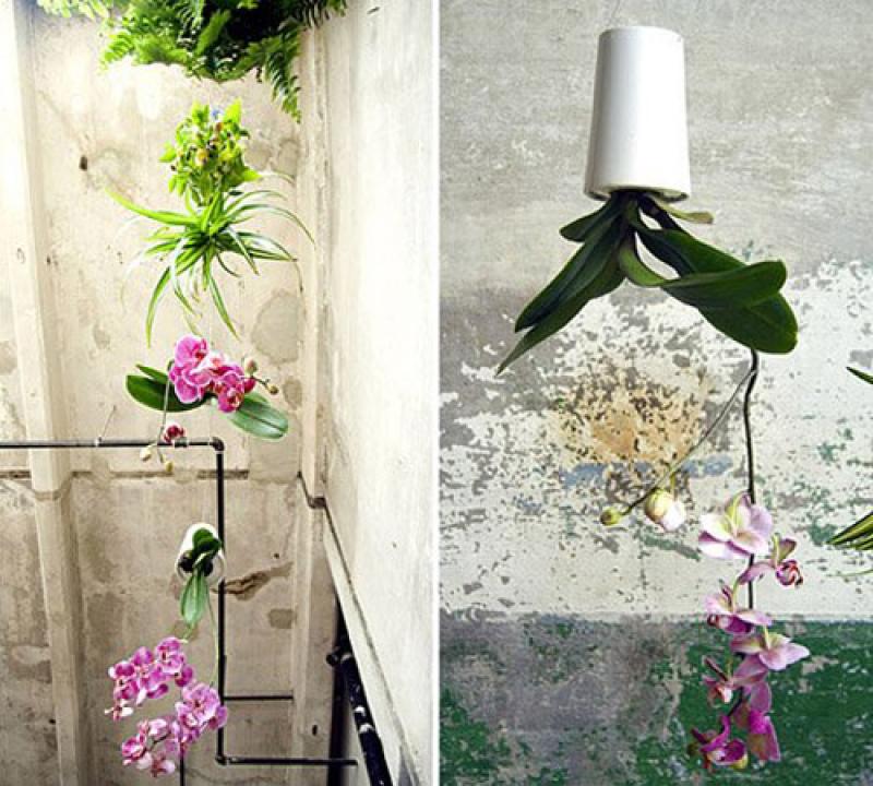 สวนกระถางเล็กๆ เพิ่มชีวิตชีวาให้บ้านเรา