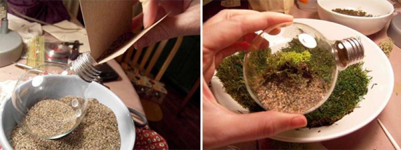 ไอเดียเจ๋งๆ สวนจิ๋วในหลอดไฟ