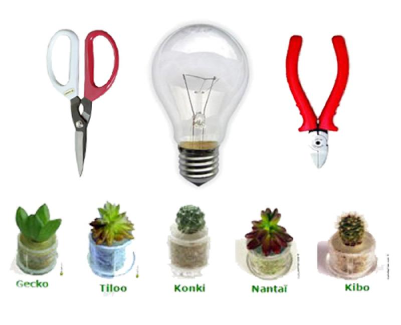 ไอเดียเจ๋งๆ สวนจิ๋วในหลอดไฟ