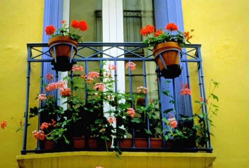 จัดสวนดอกไม้รอบบ้าน สร้างสีสันให้สดชื่น
