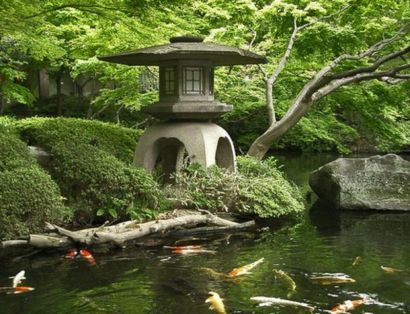 สร้างสวนสวยสไตล์ญี่ปุ่น