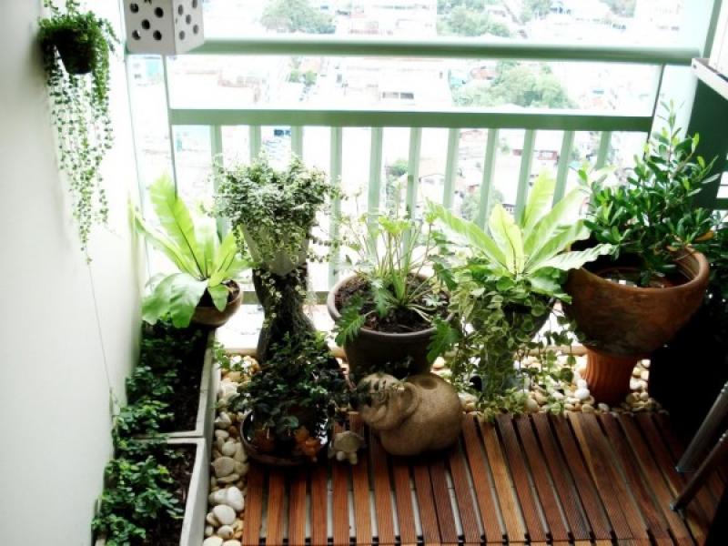 การปลูกผักสวนครัว สำหรับชีวิตในมือง