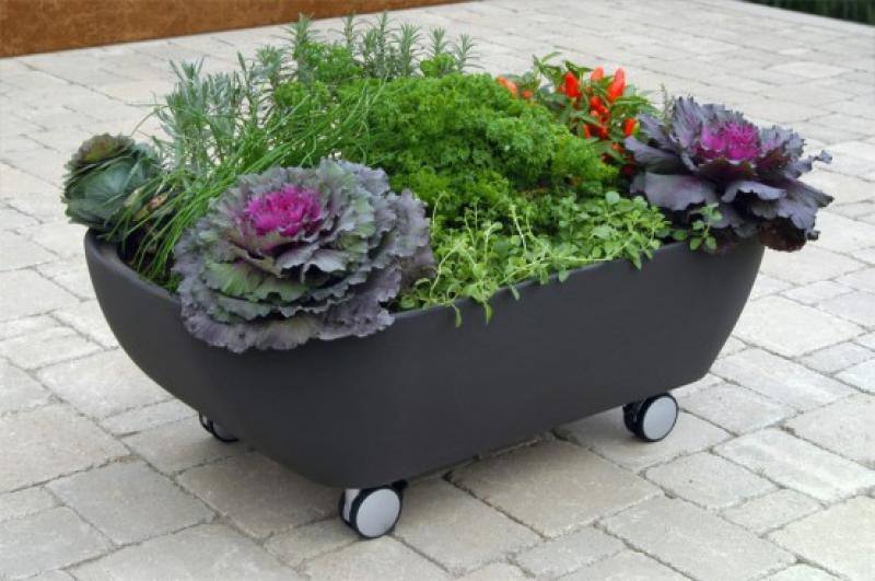 9 ไอเดีย ตกแต่งสวนสวยด้วยกระถางสุดเก๋