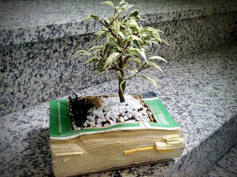 9 ไอเดีย ตกแต่งสวนสวยด้วยกระถางสุดเก๋