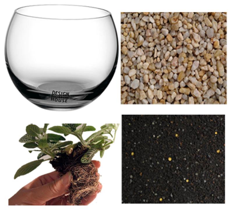 ตกแต่งบ้านด้วย สวนเล็กๆ ในแก้วน้ำ