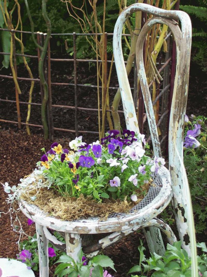 6ไอเดียจัดสวนดอกไม้ง่ายๆ ด้วยเก้าอี้ไม้เก่า