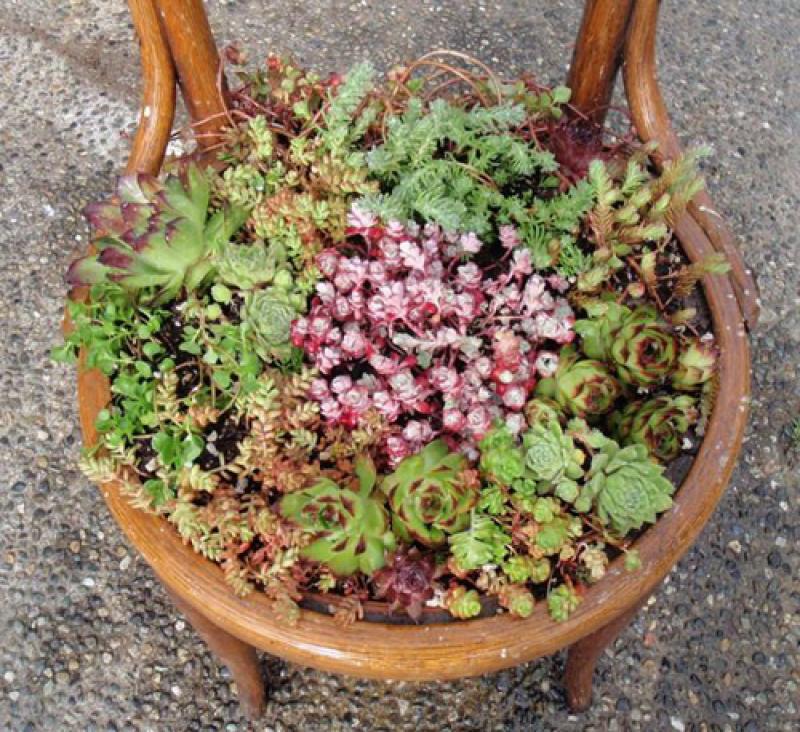 6ไอเดียจัดสวนดอกไม้ง่ายๆ ด้วยเก้าอี้ไม้เก่า