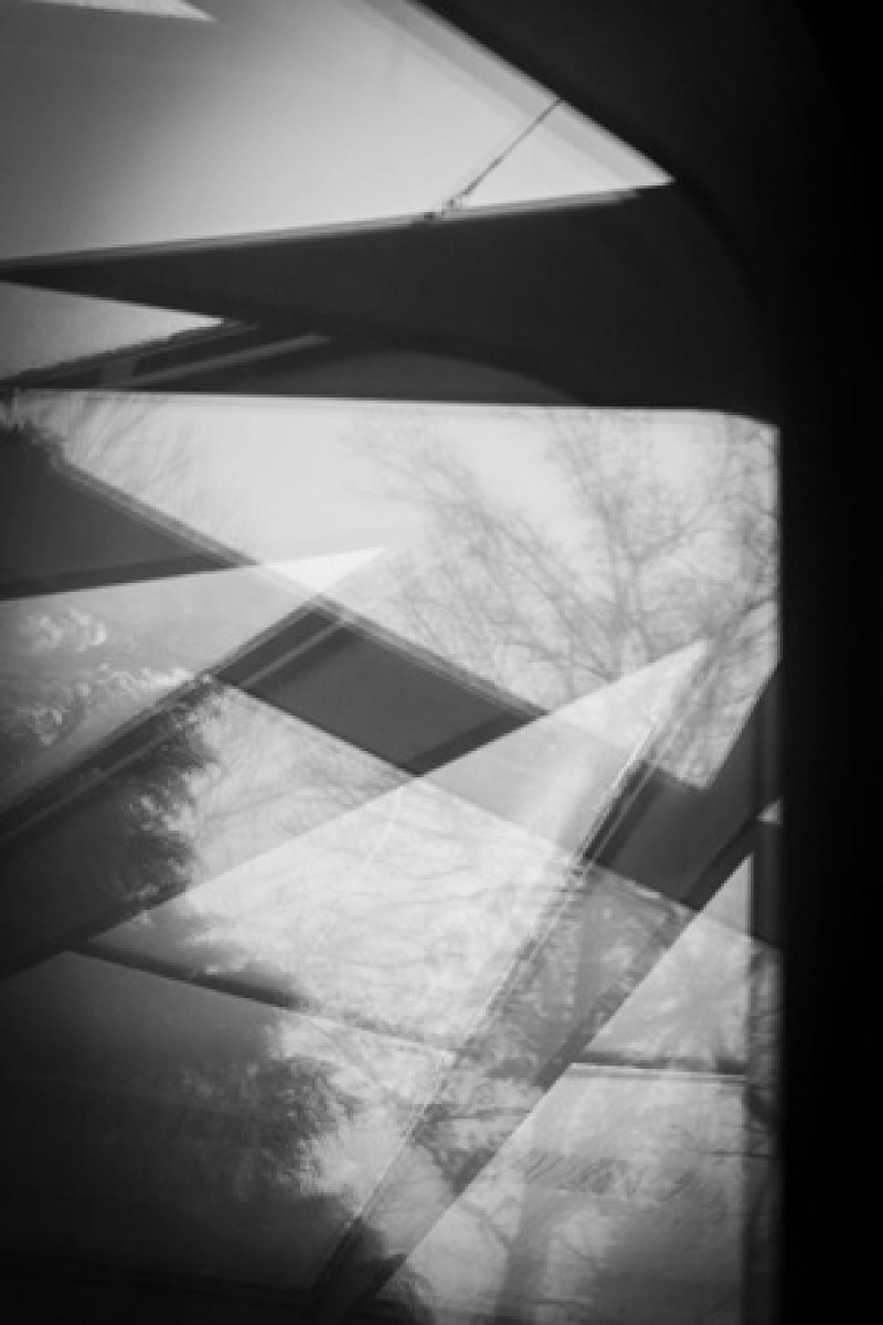 ดีไซน์เรือนต้นไม้ ตามแบบสวิตส์เซอร์แลนด์