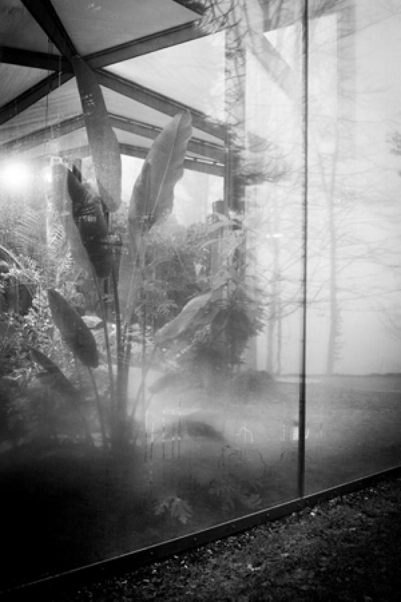 ดีไซน์เรือนต้นไม้ ตามแบบสวิตส์เซอร์แลนด์