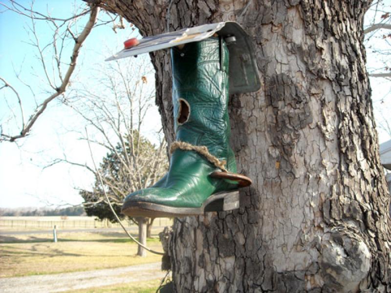 สร้างมุมเล็กๆ ไว้ให้อาหารนกตัวจิ๋ว