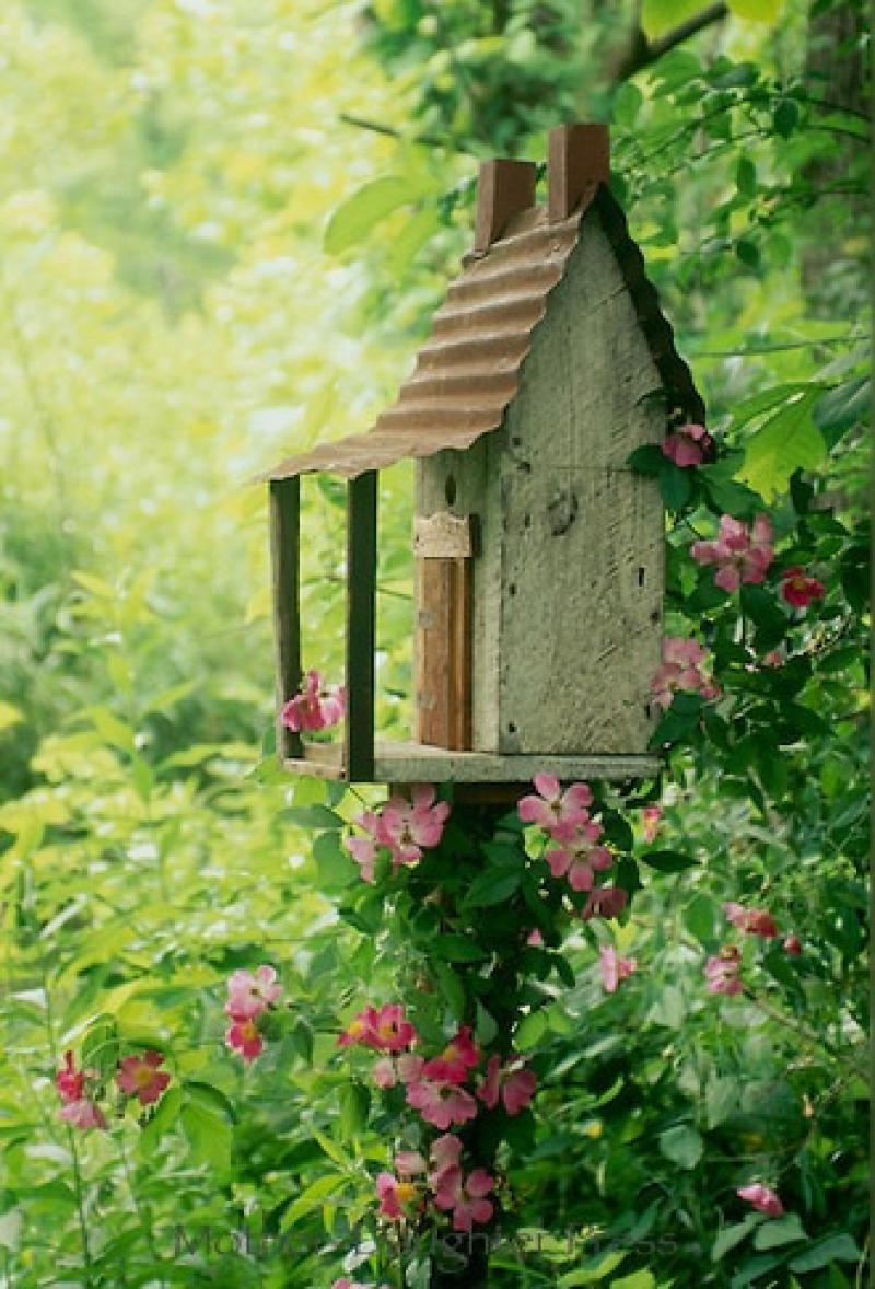 สร้างมุมเล็กๆ ไว้ให้อาหารนกตัวจิ๋ว