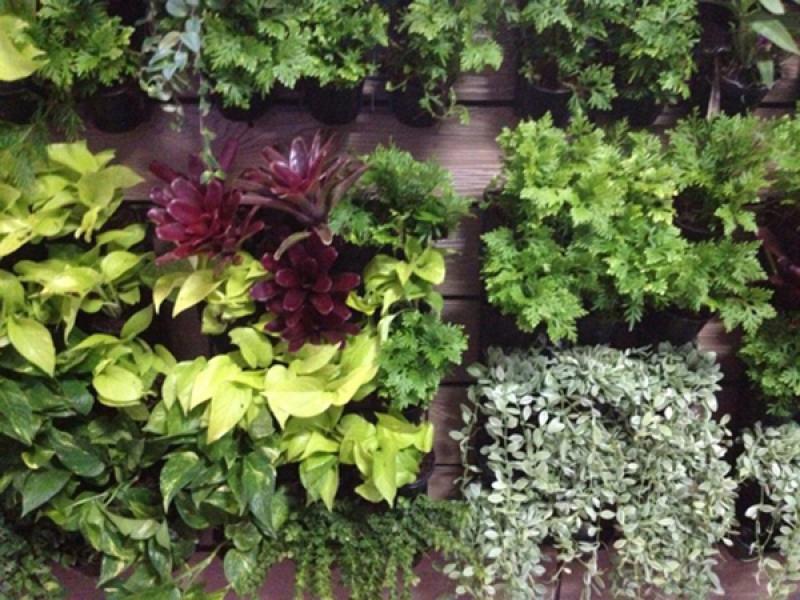 เพิ่มพื้นที่สวนได้อีก ด้วยสวนสวยในแนวตั้ง