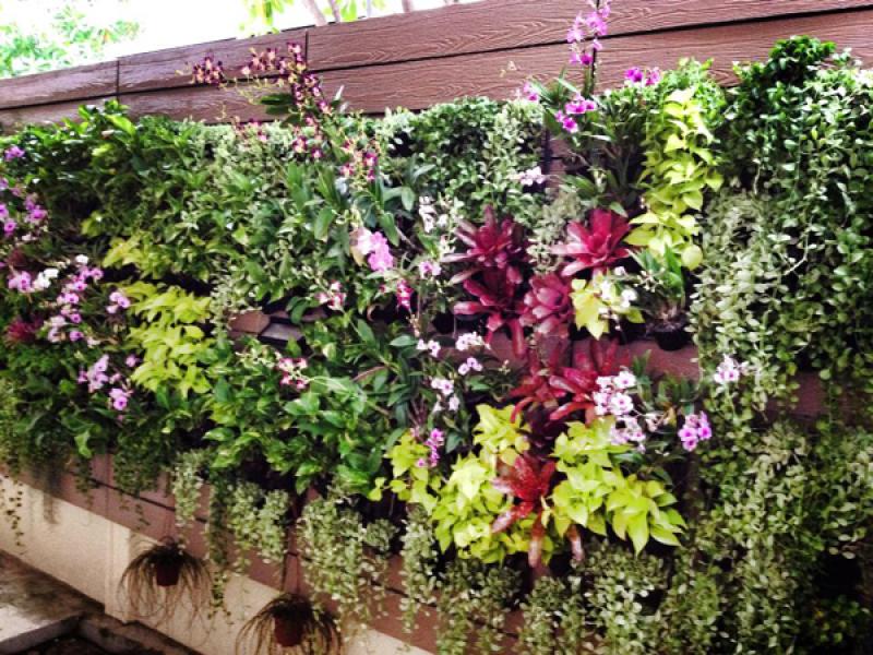 เพิ่มพื้นที่สวนได้อีก ด้วยสวนสวยในแนวตั้ง