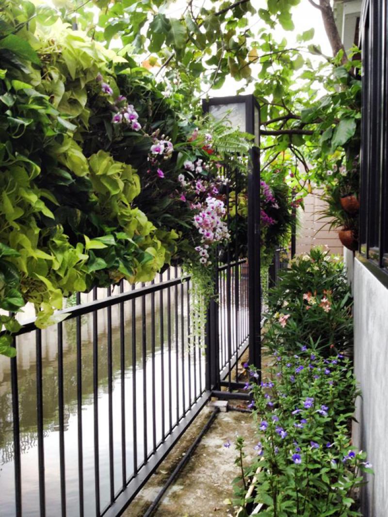 เพิ่มพื้นที่สวนได้อีก ด้วยสวนสวยในแนวตั้ง