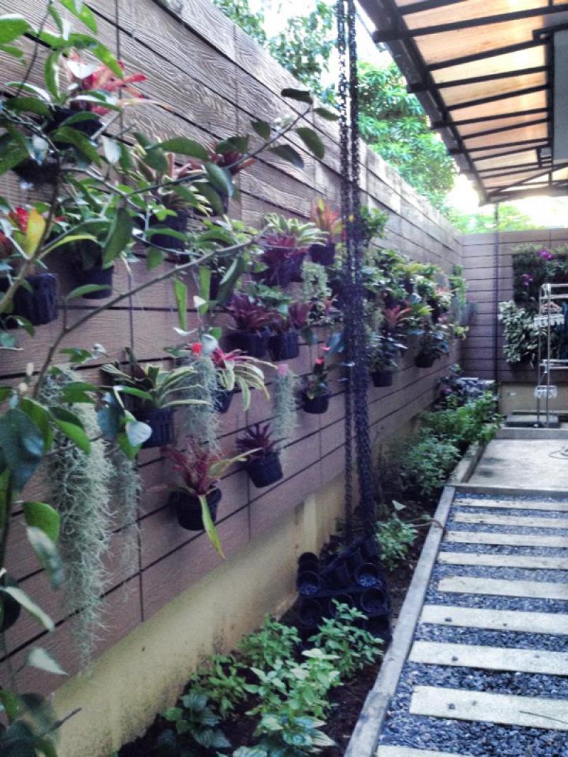 เพิ่มพื้นที่สวนได้อีก ด้วยสวนสวยในแนวตั้ง
