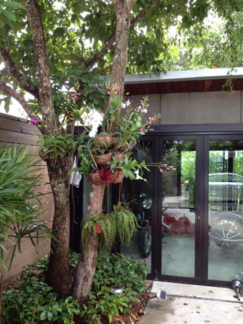 เพิ่มพื้นที่สวนได้อีก ด้วยสวนสวยในแนวตั้ง