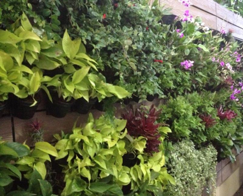 เพิ่มพื้นที่สวนได้อีก ด้วยสวนสวยในแนวตั้ง