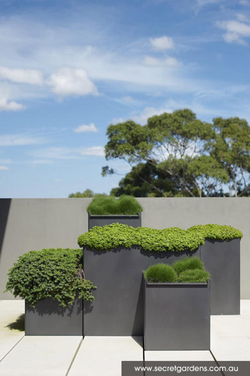 ยกสวนสวยๆ ขึ้นไปไว้บน ..ดาดฟ้า