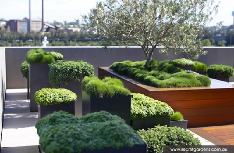 ยกสวนสวยๆ ขึ้นไปไว้บน ..ดาดฟ้า