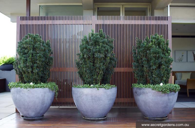 ยกสวนสวยๆ ขึ้นไปไว้บน ..ดาดฟ้า