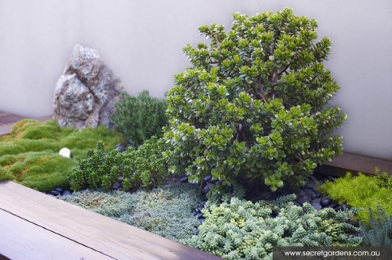 ยกสวนสวยๆ ขึ้นไปไว้บน ..ดาดฟ้า