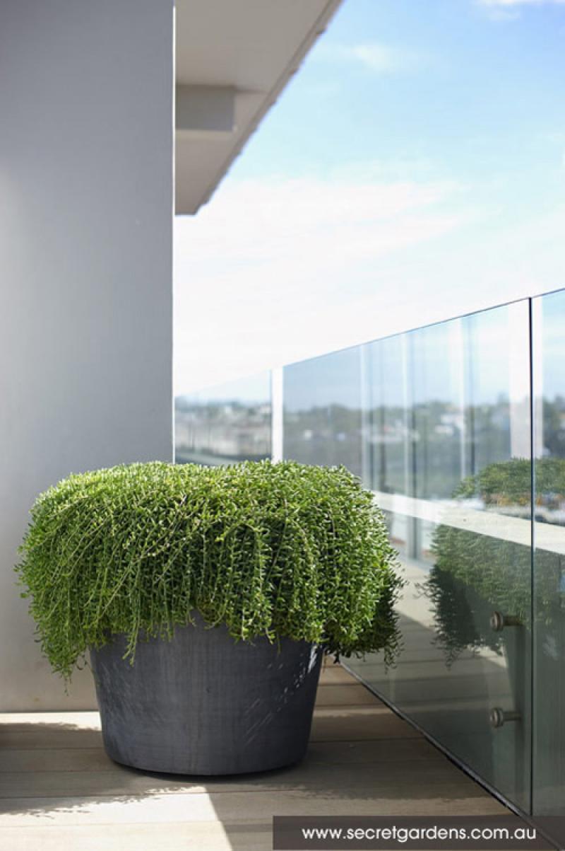 ยกสวนสวยๆ ขึ้นไปไว้บน ..ดาดฟ้า