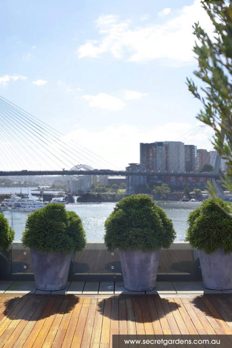 ยกสวนสวยๆ ขึ้นไปไว้บน ..ดาดฟ้า