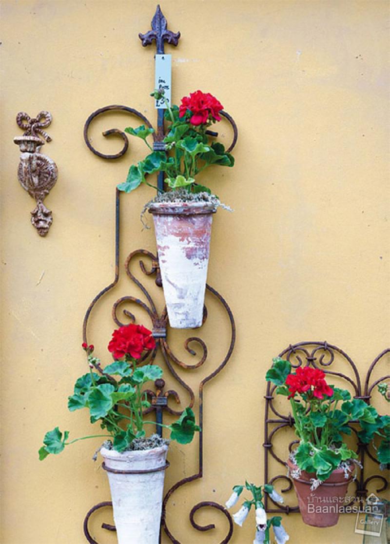 สวนแขวน 4 แบบ ช่วยประหยัดพื้นที่ให้บ้านคุณได้