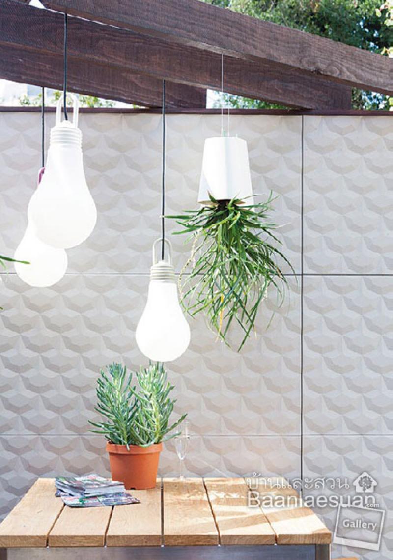 สวนแขวน 4 แบบ ช่วยประหยัดพื้นที่ให้บ้านคุณได้