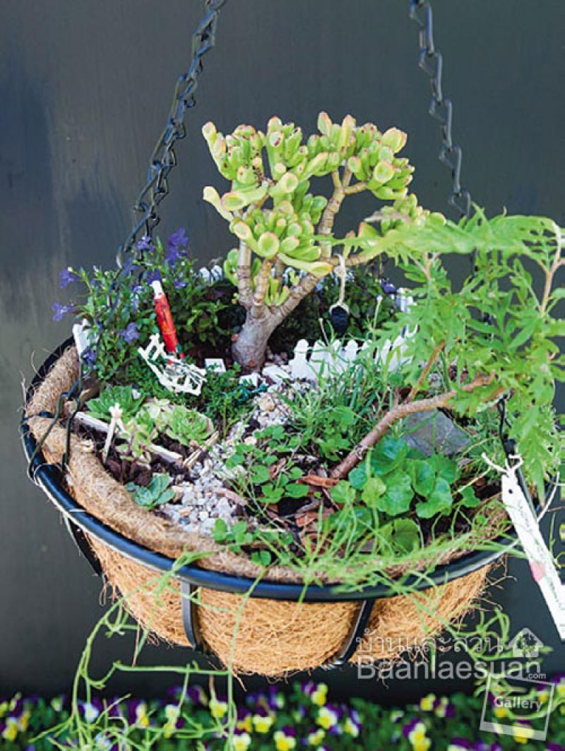 สวนแขวน 4 แบบ ช่วยประหยัดพื้นที่ให้บ้านคุณได้