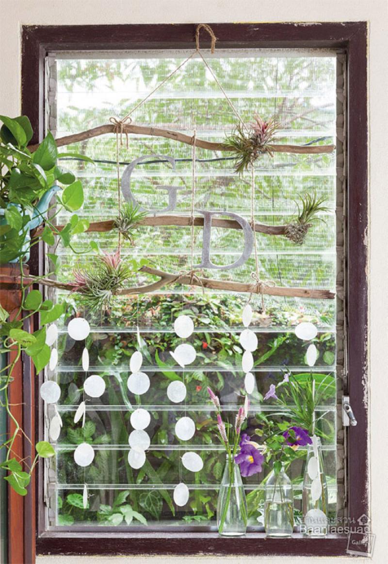 สวนแขวน 4 แบบ ช่วยประหยัดพื้นที่ให้บ้านคุณได้