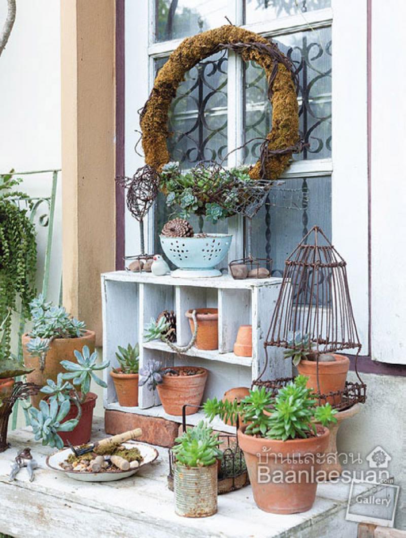 สวนแขวน 4 แบบ ช่วยประหยัดพื้นที่ให้บ้านคุณได้