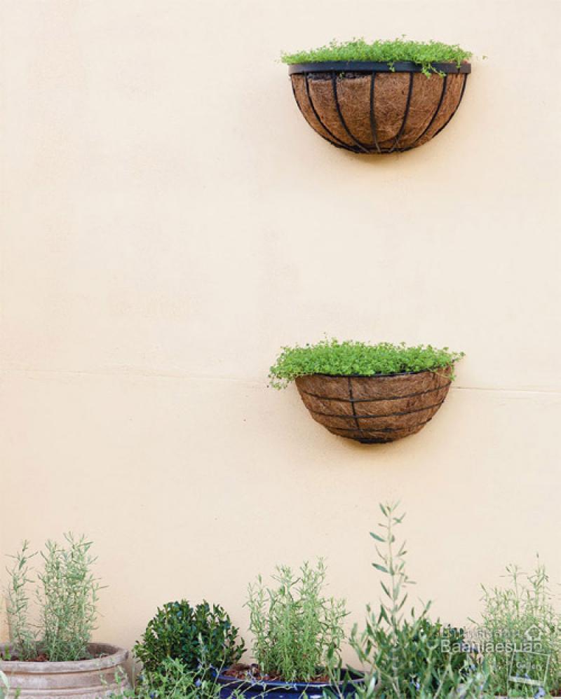 สวนแขวน 4 แบบ ช่วยประหยัดพื้นที่ให้บ้านคุณได้