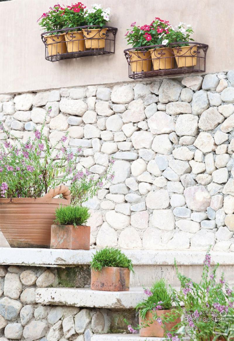 สวนแขวน 4 แบบ ช่วยประหยัดพื้นที่ให้บ้านคุณได้