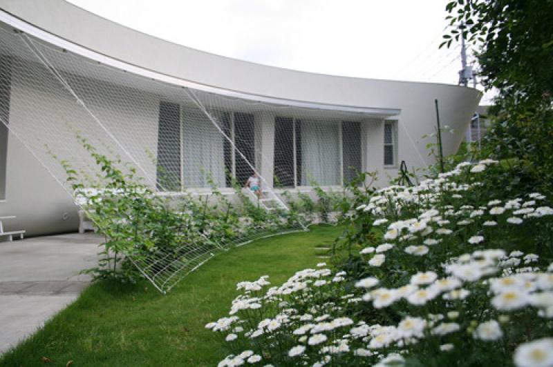 ม่านต้นไม้..ธรรมชาติสวย ช่วยบังแดดได้