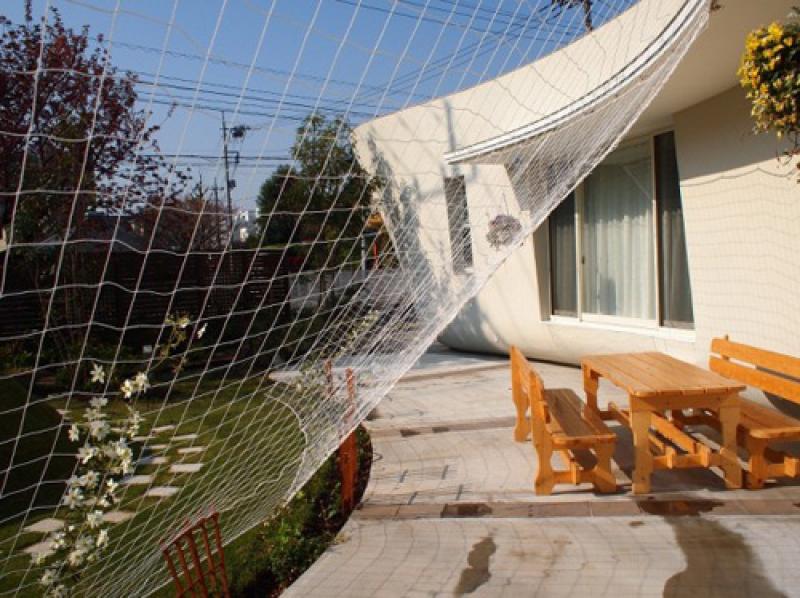 ม่านต้นไม้..ธรรมชาติสวย ช่วยบังแดดได้