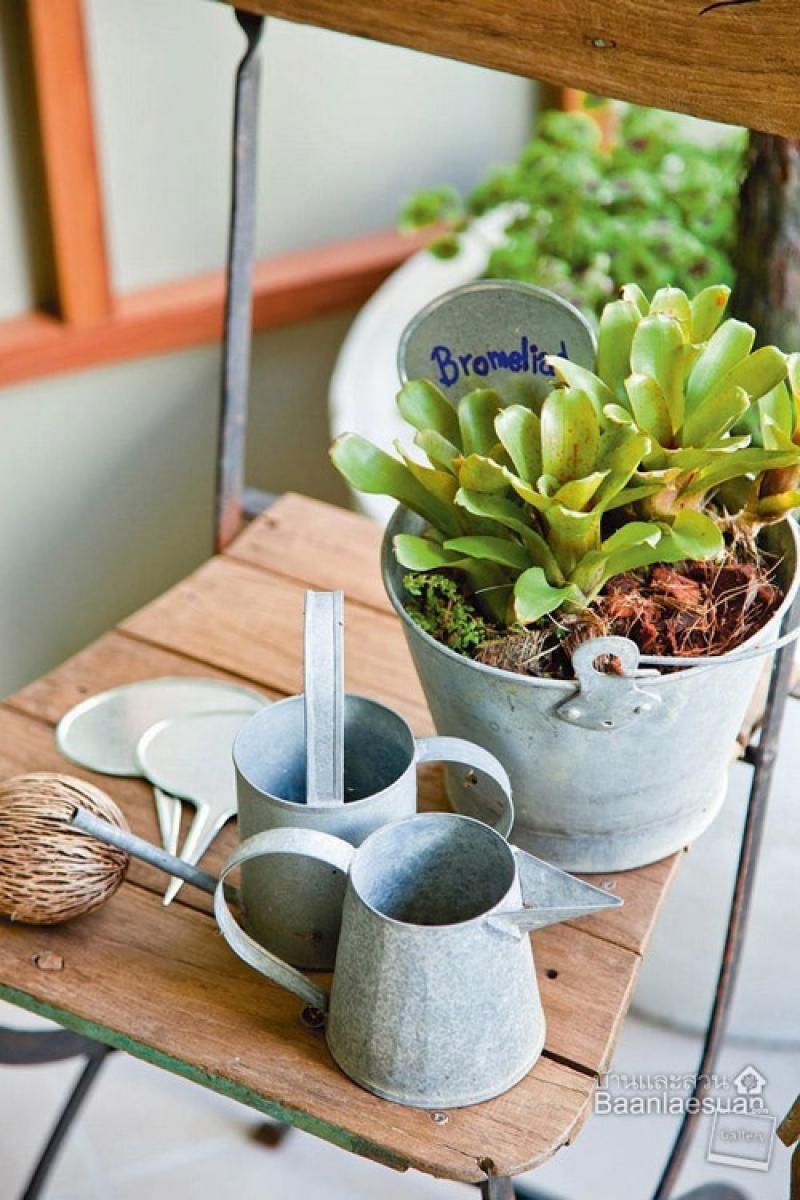 ไอเดียจัดสวนกระถางยอดนิยม