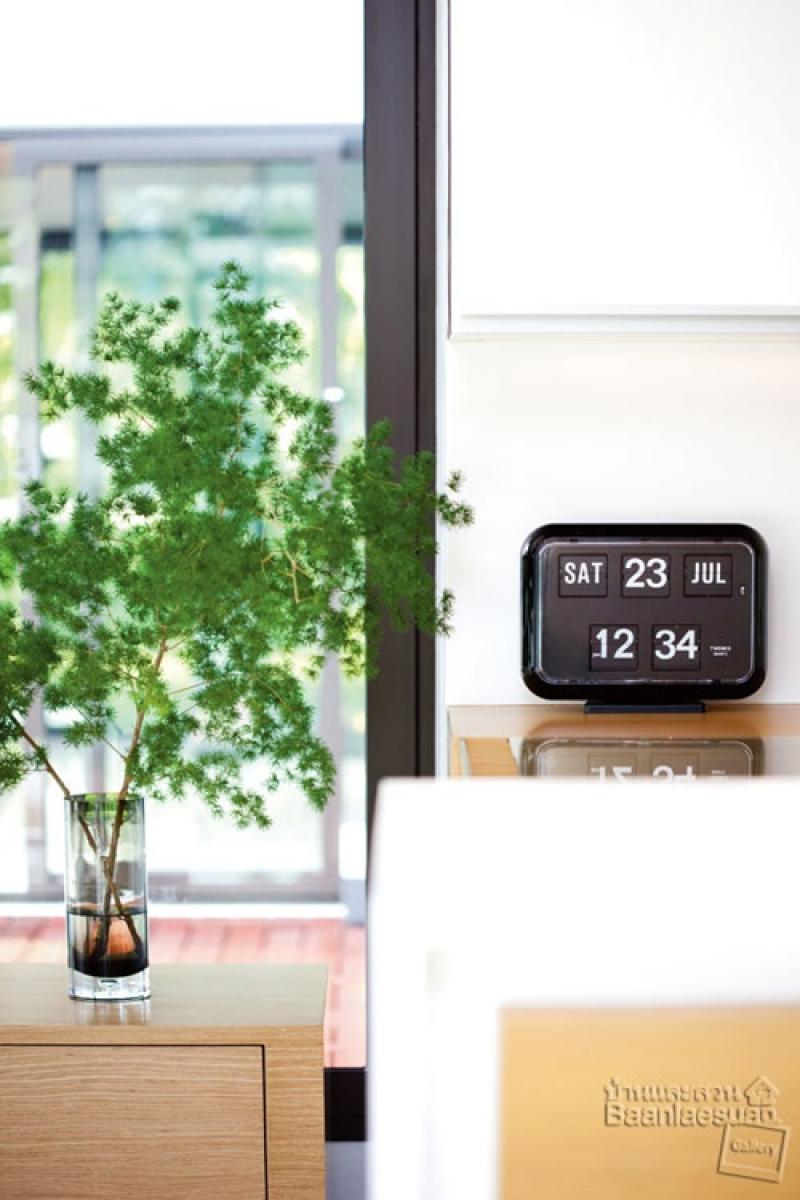 ไอเดียจัดสวนกระถางยอดนิยม