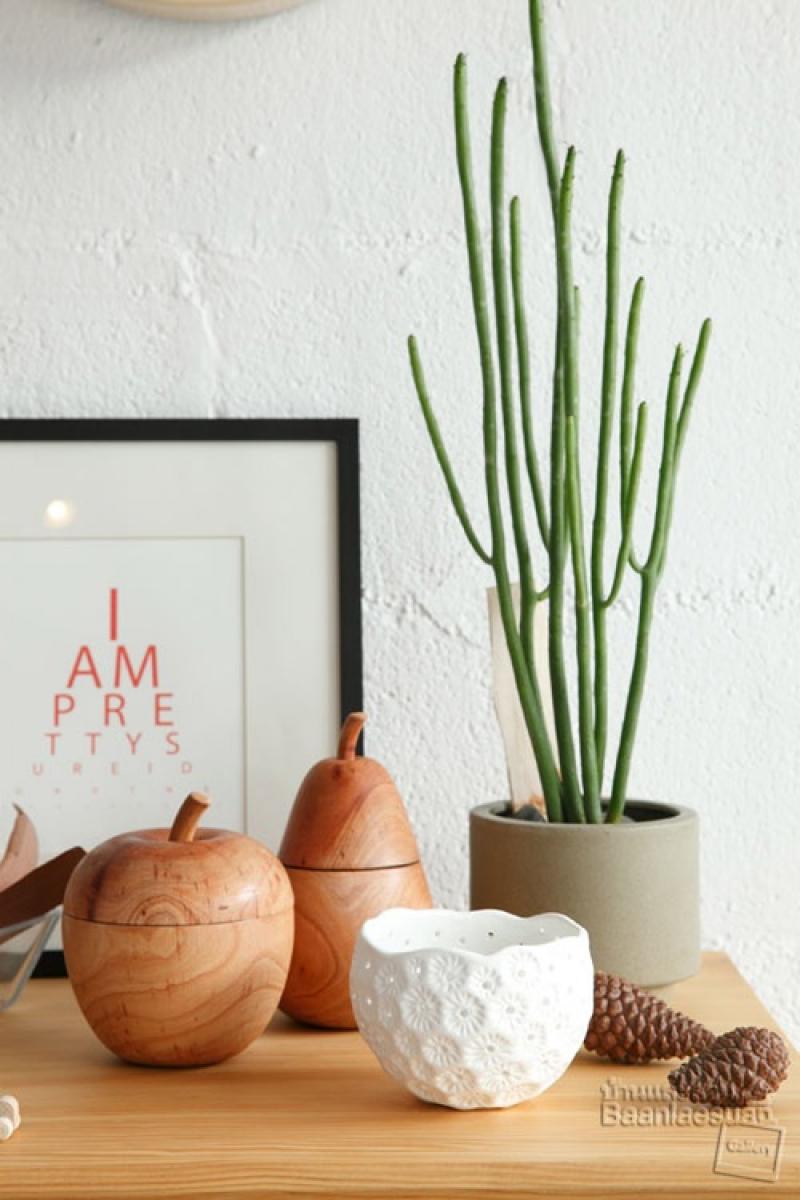 ไอเดียจัดสวนกระถางยอดนิยม